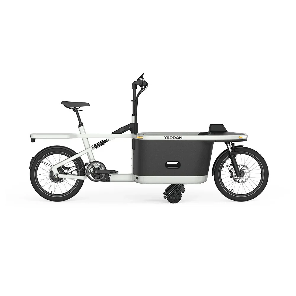 cargo e-bike